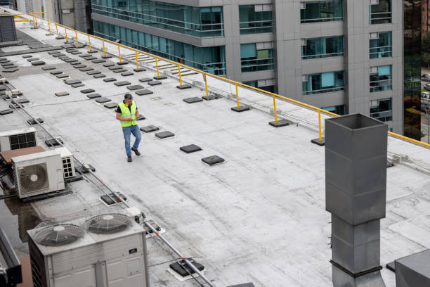 Best Roof Maintenance and Cleaning  in Saticoy, CA