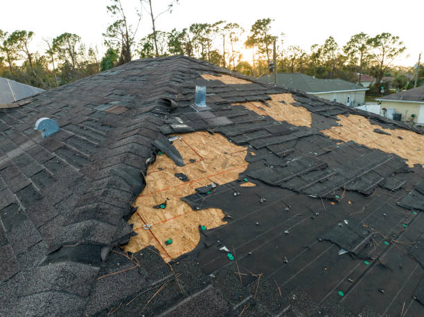 Best Cold Roofs  in Saticoy, CA