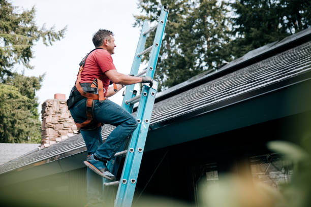  Saticoy, CA Roofing Service Pros