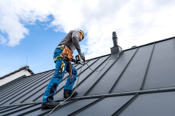 Best Green or Eco-Friendly Roofing Solutions  in Saticoy, CA
