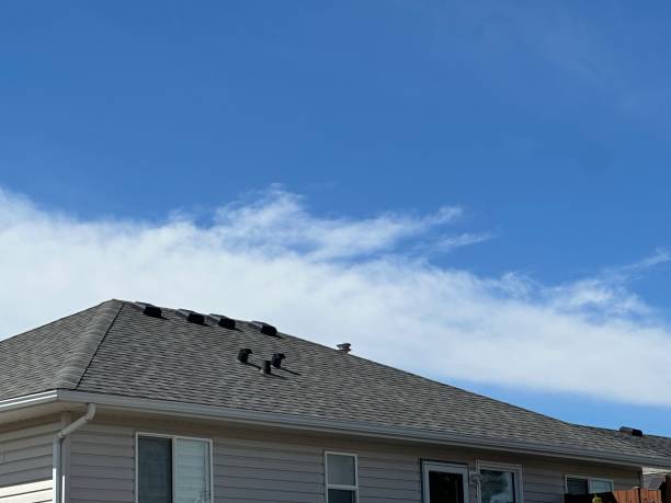 Best Skylight Installation and Repair  in Saticoy, CA